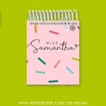 Little Pencils Mini Notebook