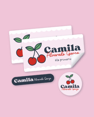 Pink CherrySchool Stickers